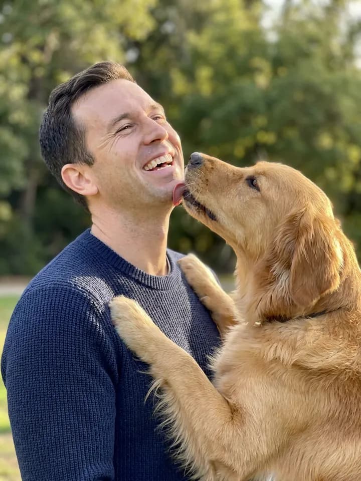 With the dog — demonstration output, synthetic model